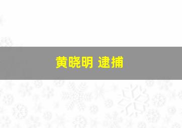 黄晓明 逮捕